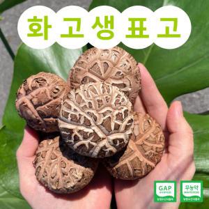 화고버섯 국내산 500g 무농약 GAP인증