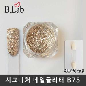 [OF39M442]뷰랩 네일아트 시그니처 네일글리터