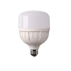 비츠온 LED T 벌브램프 30W 전구색 E26