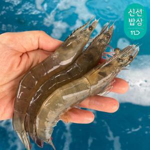 [품질보장]이순신수산 국내산 흰다리새우 1kg 제철 왕새우