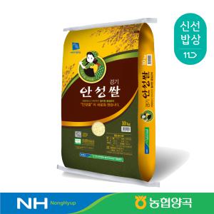 [농협양곡] 경기 안성쌀 10kg / 특등급 / 추청 / 2023년