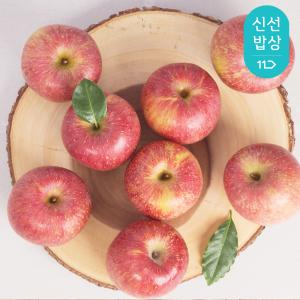 입안과즙가득! 빨간사과 출시! 1.5kg/2.5kg 가정용/흠과/소과/ 홍로햇사과