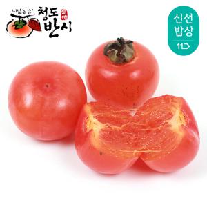 24년 첫수확 씨없는 청도반시 5kg / 홍시 연시 / 산지발송 / 사이즈 선별