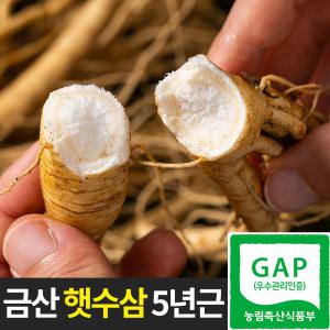 금산인삼 실속형 가을 햇수삼 막삼 무세척 500g