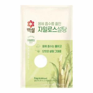 CJ 감칠맛 백설 하얀 자일로스 설탕 5kg 과일청 자취 대용량 식자재 식당