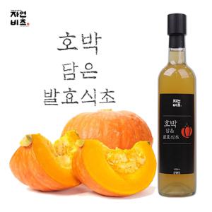 자연비초/호박 담은 발효식초 500ml/호박식초