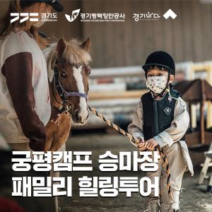 [경기바다]궁평캠프 승마장 패밀리 힐링투어 (마방투어+먹이주기+그루밍+트래킹)