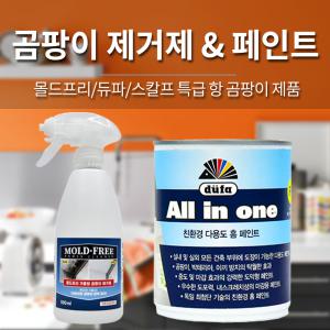 곰팡이 제거제 및 방지페인트/스칼프 듀파 직수입정품