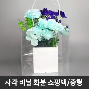 투명 화분 쇼핑백 5장-사각 특대형 꽃 비닐백 SCF58