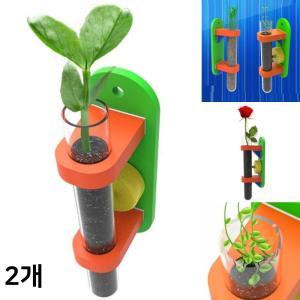 씨앗발아 시험관 벽걸이화분 만들기 (일반형 완두콩 1인용 2개) 키우기 외떡잎 쌍떡잎