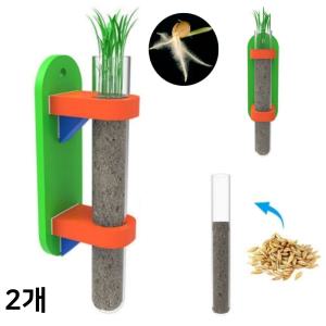 씨앗발아 시험관 벽걸이화분 만들기 (일반형 보리 1인용 2개) 관찰 완두콩 조립 시험관