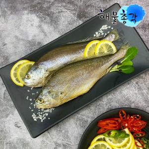 해물총각 손질 부세조기 HACCP 인증 국내가공 깔끔한 반건조 조기 1마리