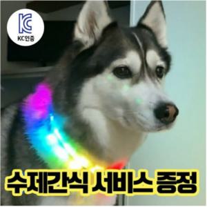 강아지 LED 목걸이 무지개 목줄 인싸목걸이 야간산책 소형견 중형견 대형견 반려견 애견 산책 용품