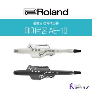 로랜드 전자색소폰 AE-10 Roland Aerophone ae10