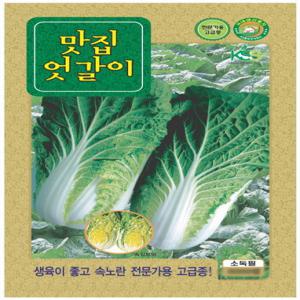 맛집 엇갈이 배추 6000립 -쌈채소씨앗/주말농장/베란다/옥상정원/텃밭용/봄채소/야생나물/민속채소/잎채소