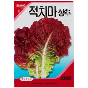 적치마 상추 씨앗 (3000립) -텃밭 쌈채소 키우기