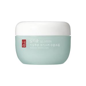 일리윤 히알루론 모이스춰 수분크림 100ml 1개