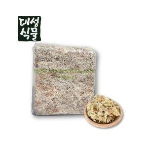 대성식물 뉴질랜드 수태 75g 프리미엄 최고급 천연 풍란 자생란 이끼 토피어리