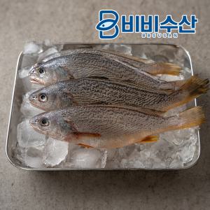 국내산 수조기 1kg(9~11마리)