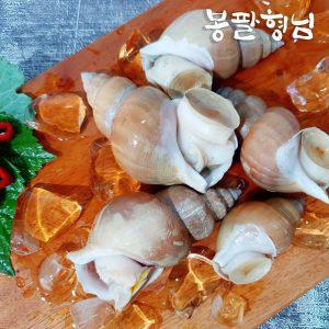 활백고동 소 1kg (35-40미) 국산 백골뱅이