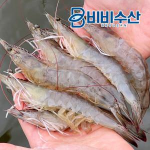 [비비수산] 산지직송 국산 최상급 활새우 1kg(30-40미) (신안직배)