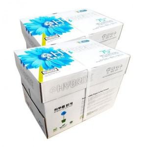 A4 하이브라이트 75g 2BOX 5000매 복사용지 복사 a4 용지 복사지 사무실 종이 사무용품