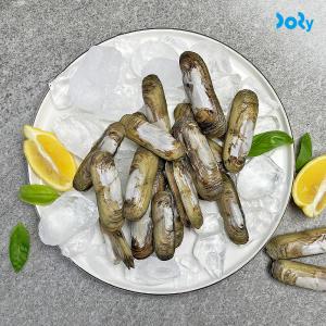 [도리마켓] 제철 별미 별랑 산소포장 맛조개 1kg (30미 내외)