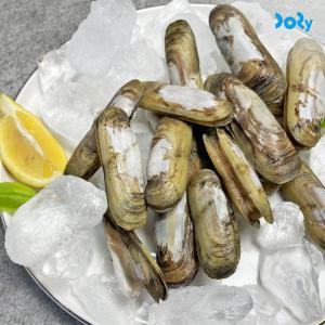 [도리마켓] 제철 별미 별랑 산소포장 맛조개 500g (15미 내외)