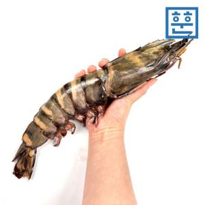 [훈훈수산]킹블랙타이거새우 1kg 4마리 후레쉬버터 2개