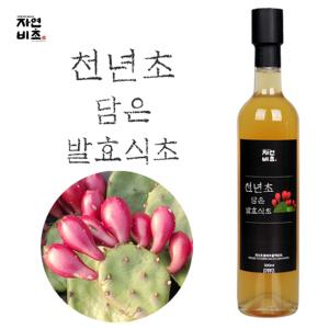 자연비초 생강담은 발효식초500ml/들산초생강식초/택1