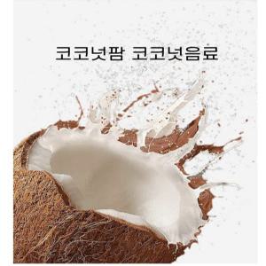 월월중국식품 하이난 코코넛팜 야자음료 240ml 24개입