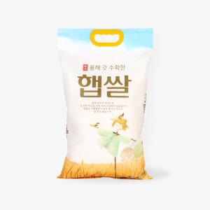 팩마트쌀포장지 쌀봉투 올해갓수확한햅쌀 손잡이 4~5kg100매