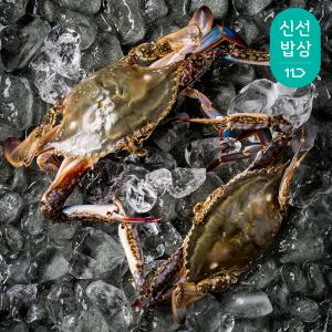 [대한민국농수산] 국내산 제철 활 숫꽃게 1kg