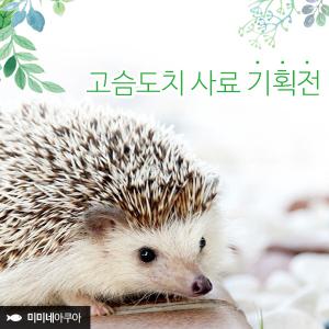 BIG/고슴도치사료/고슴도치용품/소동물먹이/도치밥