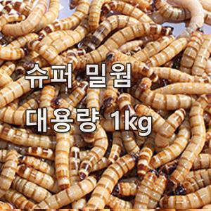 살아있는 슈퍼밀웜 1kg(약 1400마리) -  (고슴도치,파충류,병아리,닭,앵무새 등의 영양간식)