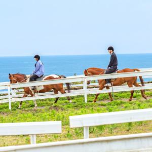 |제주|중문승마공원+혜택몰빵|제주여행|승마체험|중문관광단지|조랑말