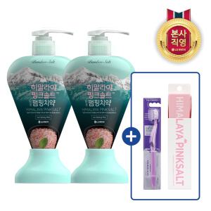 히말라야핑크솔트 펌핑치약 285g(아이스)×2개 + 퍼플 칫솔 1입 + 여행용 양치세트