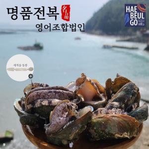 완도 명품 활전복  대 11-12미 1kg [손질솔 동봉]