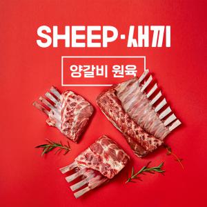 [오리지널픽_SHEEP새끼] 뉴질랜드산 프리미엄 양갈비 통원육 1kg - 3개월 6개월 숄더랙 프렌치랙 양고기 캠핑 양갈비