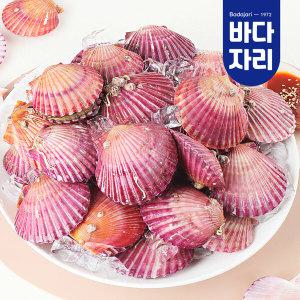 산지직송 제철 통영 홍가리비 1kg