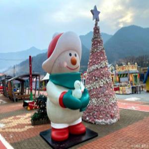 [당일][영주봉화태백정선] 첩첩산중 백두대간의 협곡을 누비다 / 부석사+봉화산타마을+백두대간협곡열차+만항재 국내 추천 가족 주말 당일 힐링