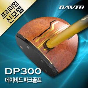 데이비드 프리미엄 파크골프채 3종 세트 DP300 파크골프 가방 볼