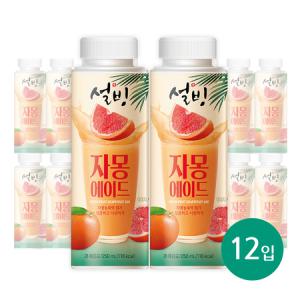 서울에프엔비 설빙 자몽에이드 250mL X 12입 [원산지:국산]_MC