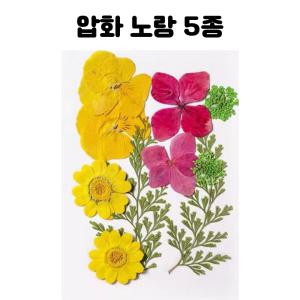 레진 공예 아트 재료 믹스 노랑 압화 드라이 플라워