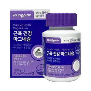 영진약품 영플랜 근육 건강 마그네슘 950mg x 90정 마그네슘영양제