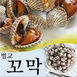 보성 벌교여자만 새꼬막 1.5kg (상품)/산지직송