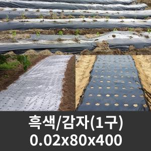 흑색 유공비닐 감자 0.02x80x400 1구