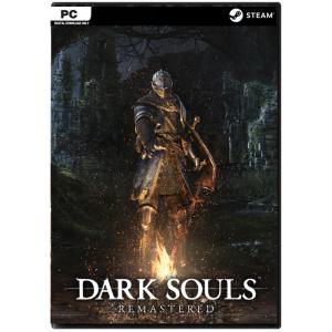 (STEAM) 다크 소울 리마스터 (Dark Souls Remastered)