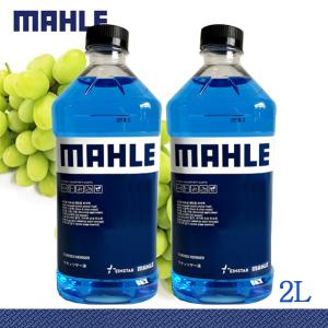 말레 MAHLE 아인스타 에탄올 워셔액 2리터 청포도향