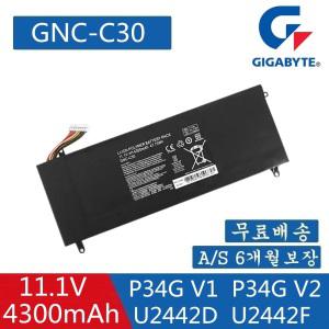 GIGABYTE GNC-C30  961TA002F / XMG C404 / P34G V1P34G v2P34G-CF1